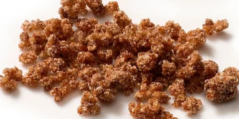 Powder & Particle Agglomeration