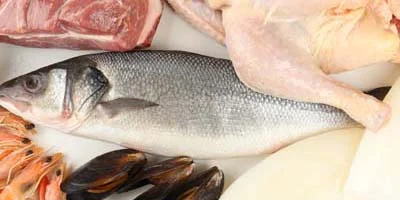 Processing systems for animal proteins