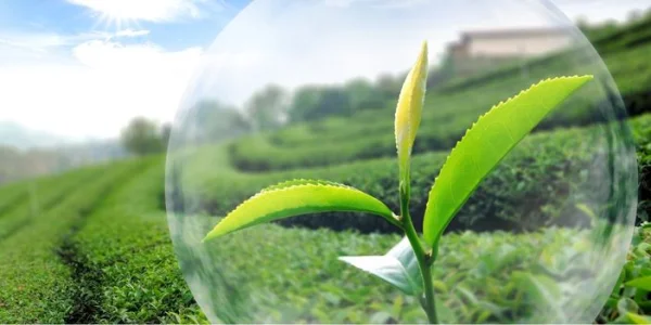 Process equipment for crop protection powders