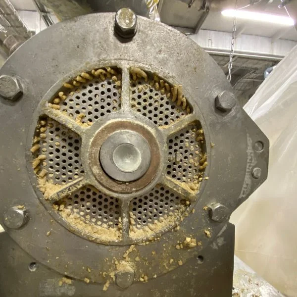 Pilot-scale extrusion trials for sustainable plant protein processing