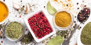 Powder & Solids Processing Systems for Food & Beverage Production