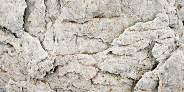 Processing Systems for Gypsum Powder