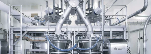 Pneumatic conveying system for powders and bulk solids
