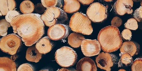 Process equipment for lignin