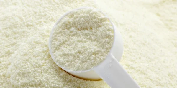 Processing systems for milk powder