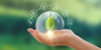 Sustainable Development Goals: Environment