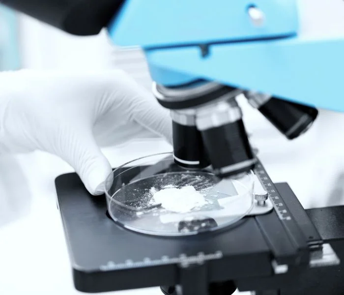 Continuous Manufacturing in Pharmaceutical Powder Processing