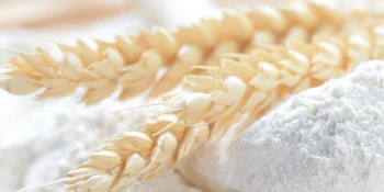 Processing systems for wheat flour