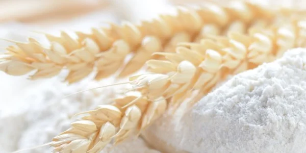 Processing systems for wheat flour