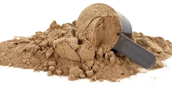 Powder Processing Industry & Application Insights
