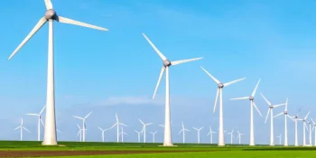 100% certified Dutch wind energy